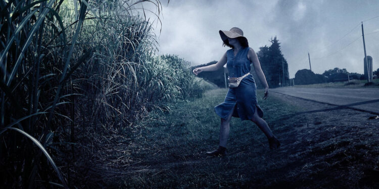 In the Tall Grass