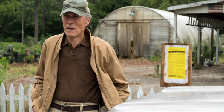 The Mule