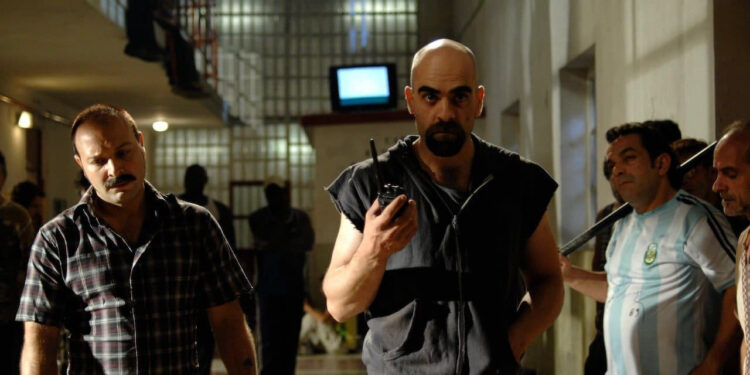 Cell 211