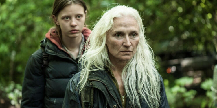The Survivalist