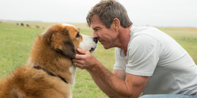 A Dog’s Purpose