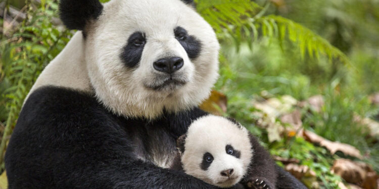 Born in China
