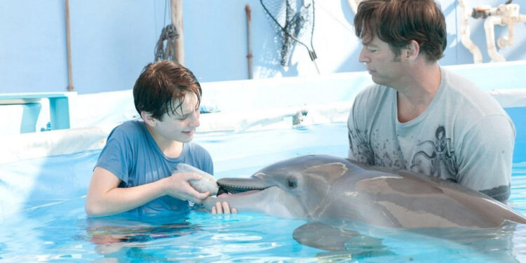 Dolphin Tale