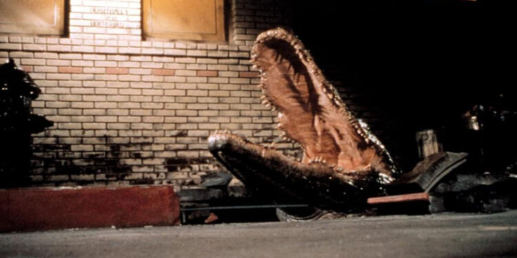 Alligator