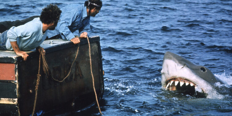 Jaws