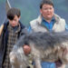 Pet