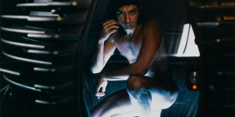 The Fly