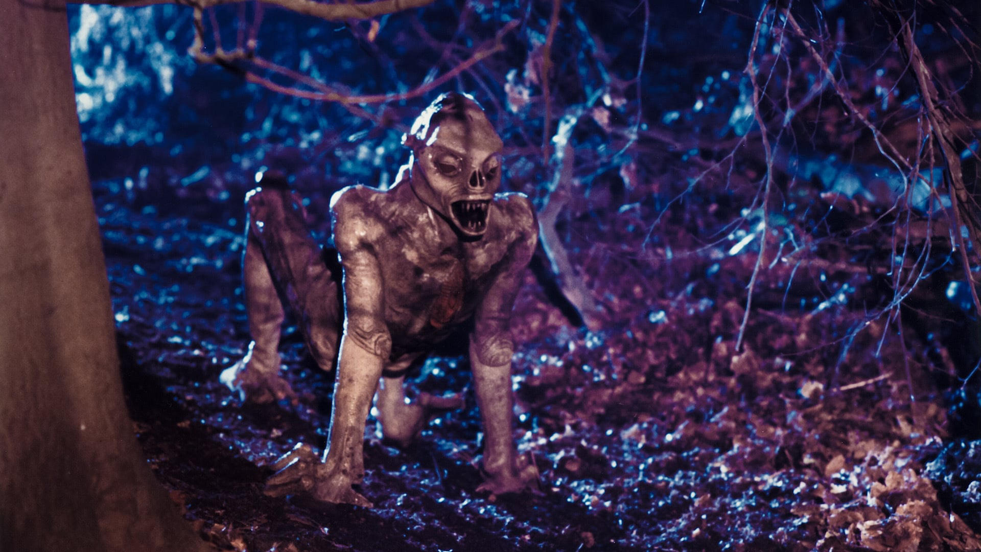 Top Body Horror Films You Haven’t Seen – 1980’s