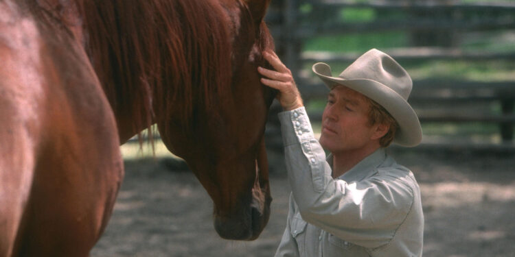 The Horse Whisperer