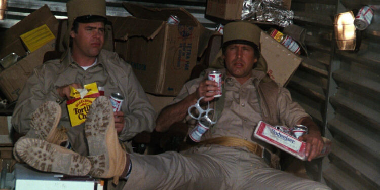 Spies Like Us