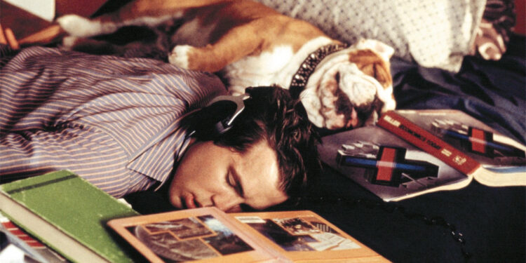 National Lampoon’s Van Wilder