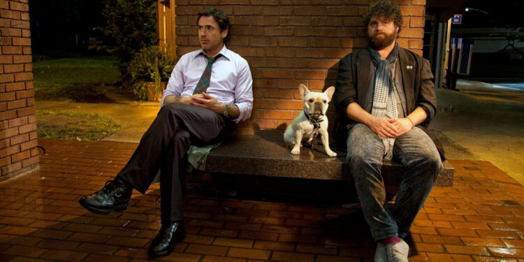 Due Date