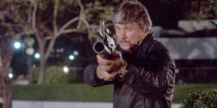 Death Wish 4: The Crackdown