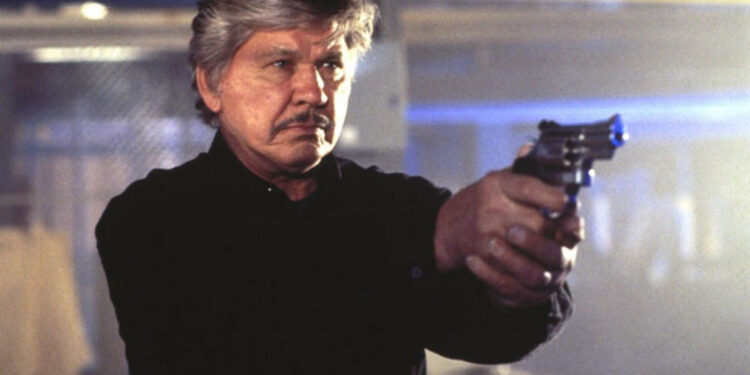 Death Wish V: The Face of Death