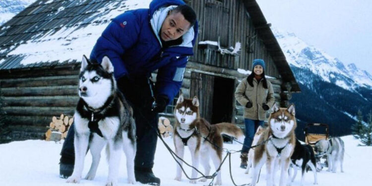 Snow Dogs