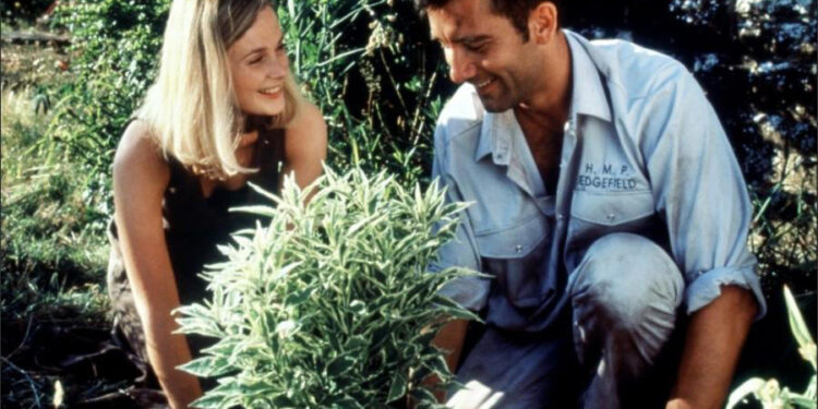 Greenfingers