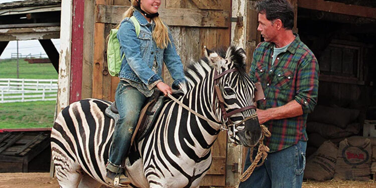 Racing Stripes