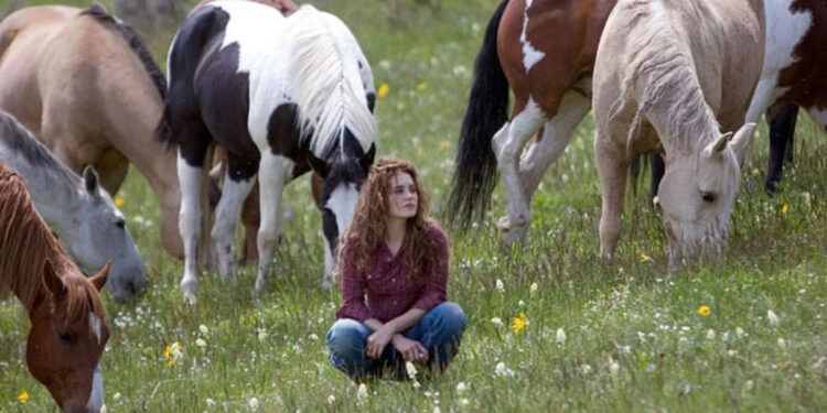 Flicka