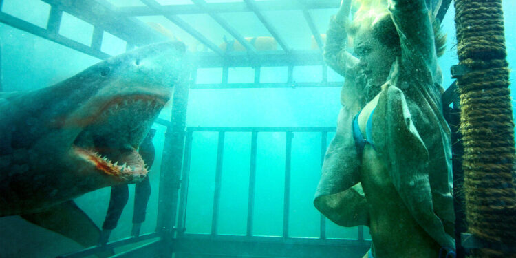 Shark Night 3D