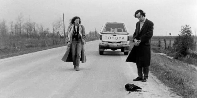 Roadkill