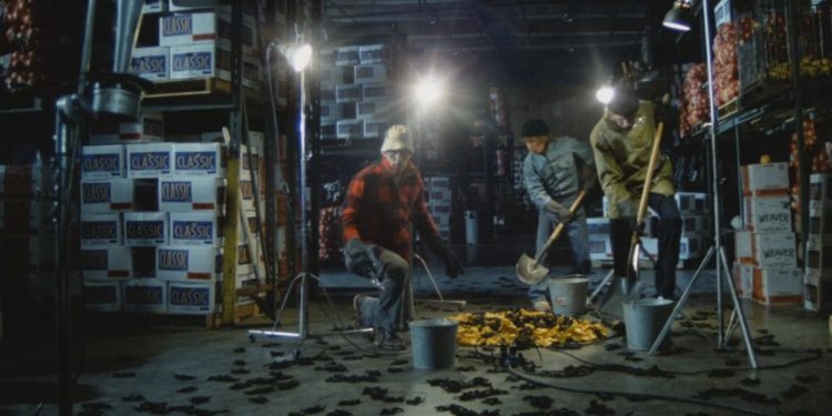 Tarantulas: The Deadly Cargo