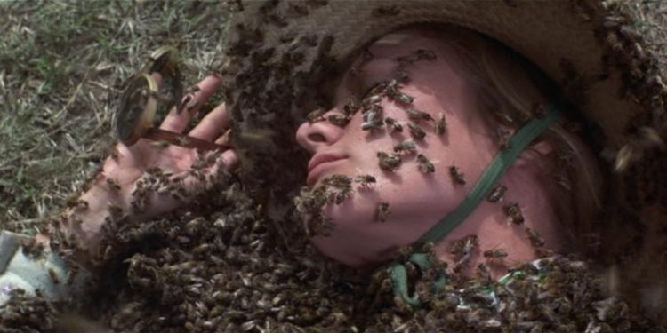 The Swarm