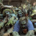 Poultrygeist: Night of the Chicken Dead