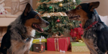 Pups Alone