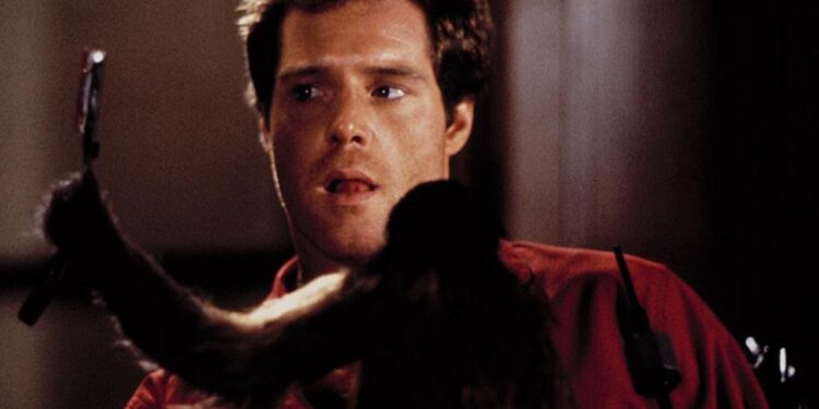 Top Animals Attack Films You Haven't Seen