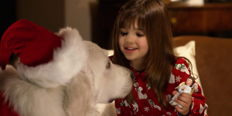 The Search for Santa Paws