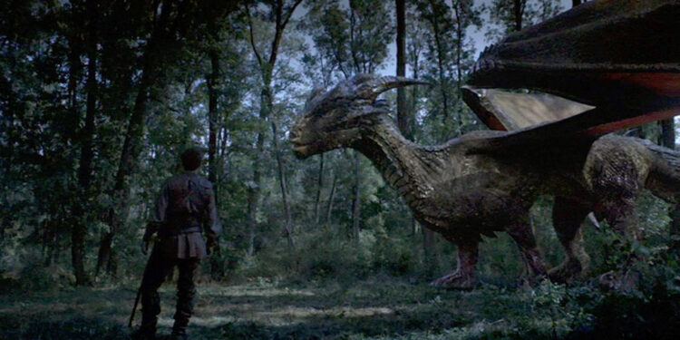 Dragonheart 3: The Sorcerer’s Curse
