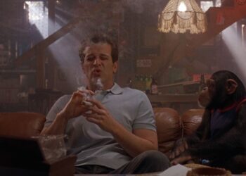 Top Stoner Comedies You Haven’t Seen