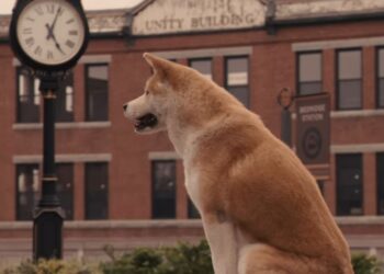 Top Family Films With Animals You Haven’t Seen