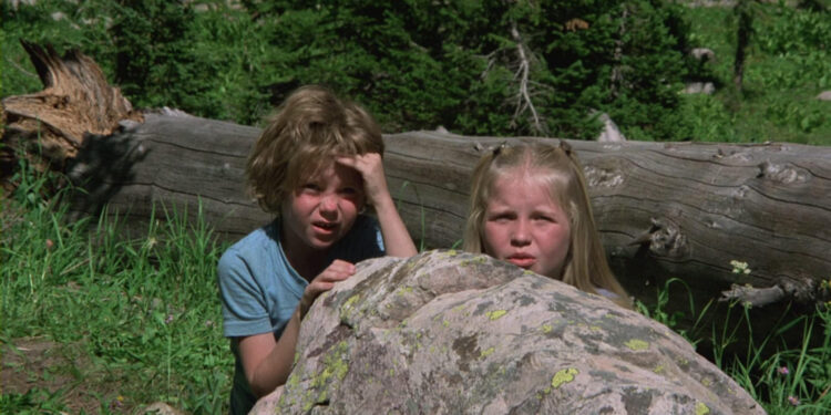 The Adventures of the Wilderness Family