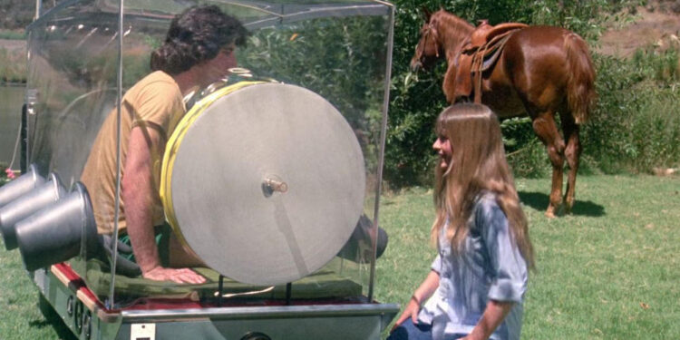 The Boy in the Plastic Bubble
