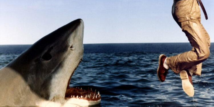 The Last Shark