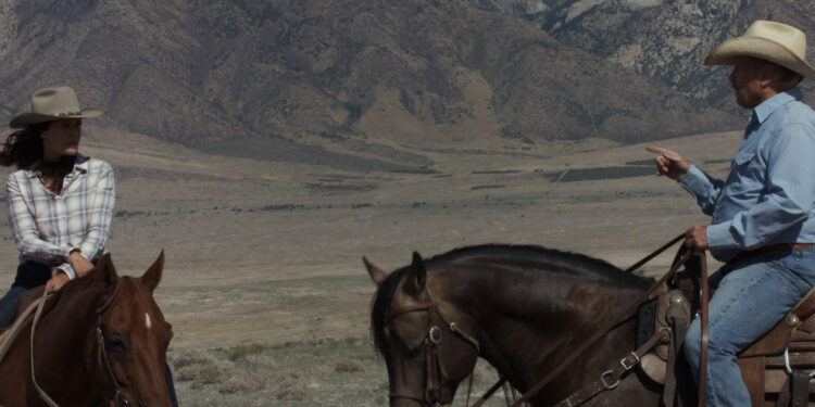 Wild Horses