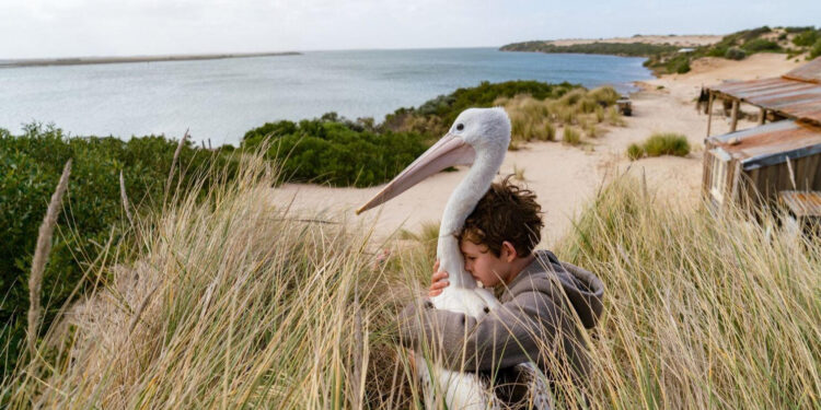 Storm Boy