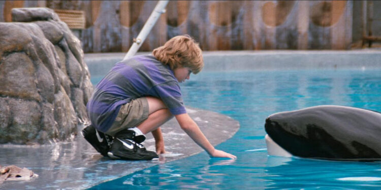 Free Willy