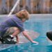 Free Willy 3: The Rescue