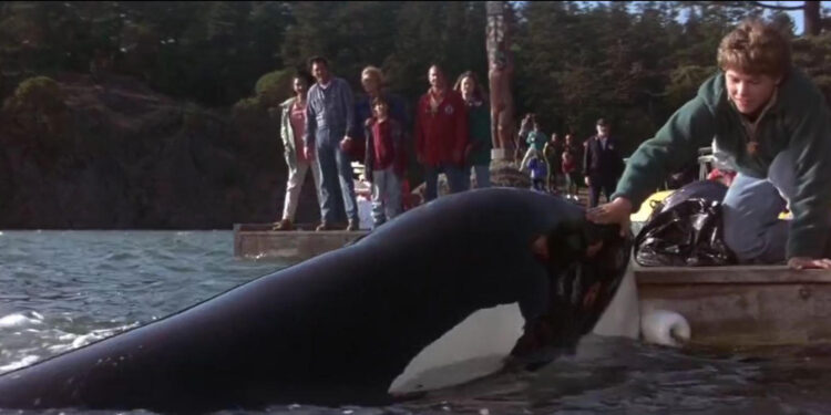 Free Willy 2: The Adventure Home