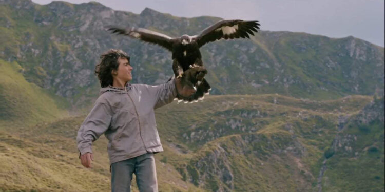 Brothers of the Wind