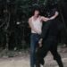 Shadow Warriors: Hattori Hanzo
