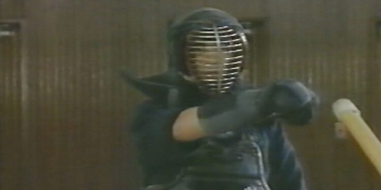 The Shinobi Ninja