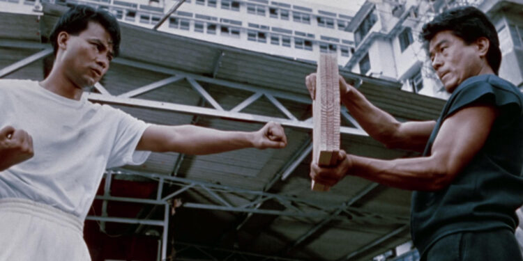 Bloodfight
