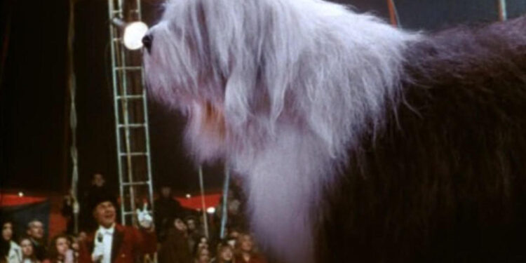 Digby, the Biggest Dog in the World