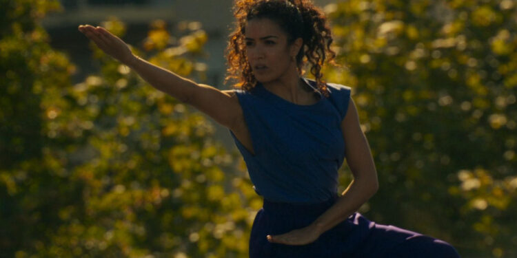 Kung-Fu Zohra