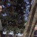 Samurai Fiction