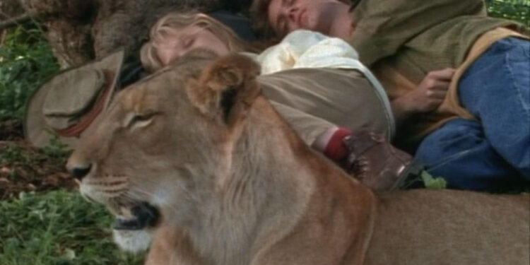 Born Free: A New Adventure