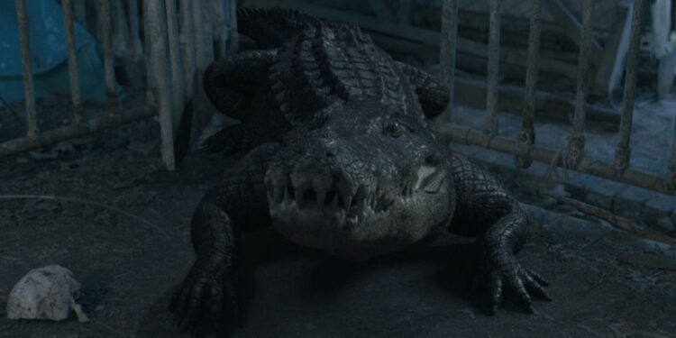 Croc!